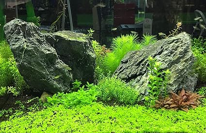 product_small_img2